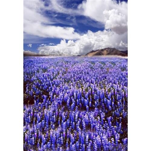 LIFE MAGIC BOX Lavender 150x200cm Photo Background Screen Portable scenic backdrops for photography N10246