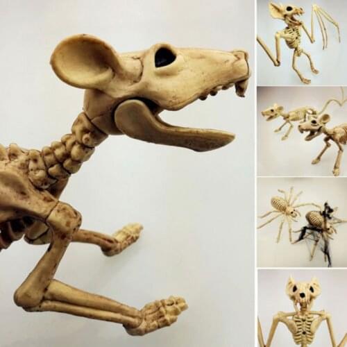 Halloween Skeleton Cat Dog Mouse Prop Bat Bones Party Shop Decoration Horror New