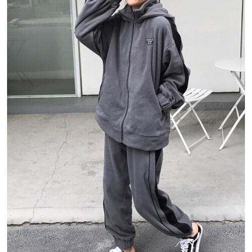 Warm Long Sleeve Stand Collar Hoody Loose Straight Sweatshirt Women Autumn Winter Fleece Hooded Zip-Up Hoodie