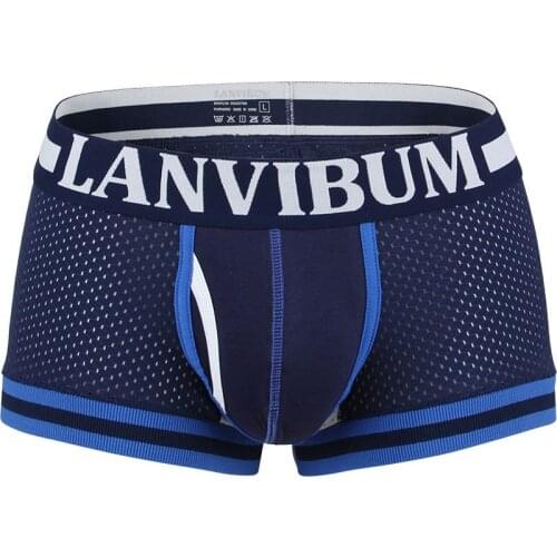 2019 Brand LANVIBUM Sexy Underwear Male Boxers Men Breathable Mesh Mens Boxer shorts Male Underpants Sexy Panties Bodysuit