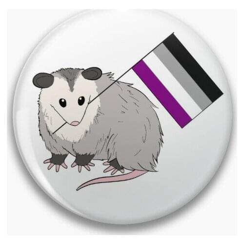 Asexual Pride Possum 【Customizable】Soft Button Pin Brooch Clothes Cartoon Lapel Pin Decor Lover Hat Funny Cute Collar Gift
