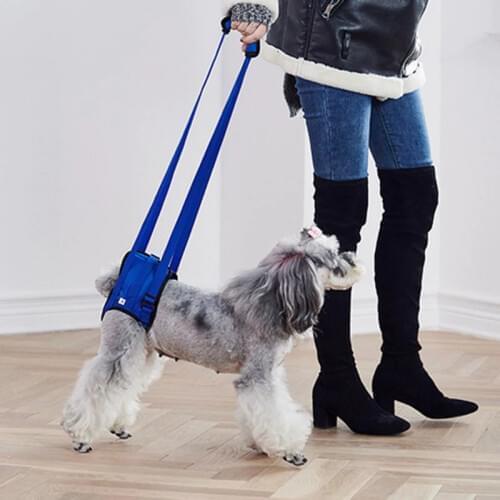 Adjustable Dog Lift Harness for Back Legs Pet Support Sling Help Weak Legs Stand Up Pet Dogs Leash Dog Rear Leg Harness