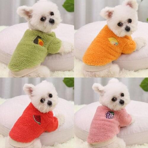 Winter Warm Pet Sweatshirts Vegan Fruit Print Cat Clothes Puppy Kitten Fleece Clothing Fashion Autumn Korean Velvet Dog Hoodie