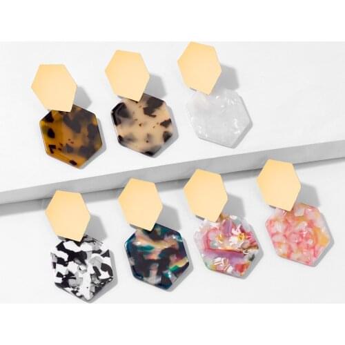 Irregular Geometry Resin Acrylic Acetate Earrings for Women Party Leopard Accessories Luxury Jewelry Aretes De Mujer Wholesale