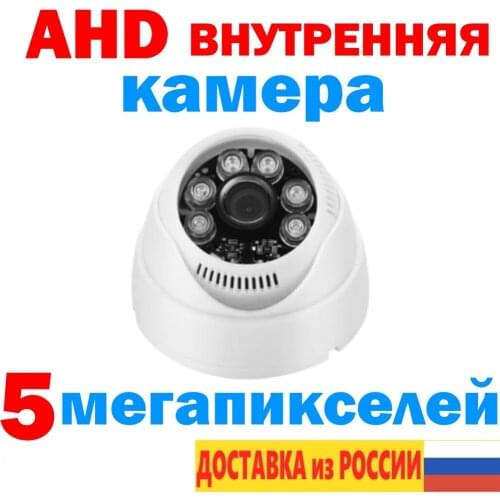 Seagull Russia CCTV Dome Cameras