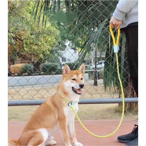 All-In-One P-Rope Collar For Dogs, Traction Rope, Dog Chain, Dog Rope, Pet Supplies