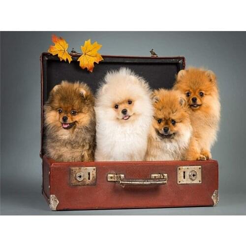 Animal Dog Pomeranian DIY Embroidery 11CT Cross Stitch Kits Needlework Craft Set Printed Canvas Cotton Thread Home Design