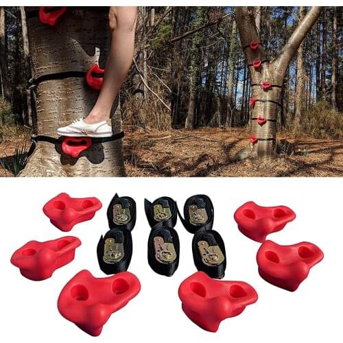 Rock Climbing Holds Obstacle Straps Holders Tree Climbing Holds for Kids Adults Climbers Climbing Rocks Training Practice 6