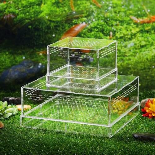 Breadworm Barley Worm Live Feed Acrylic Feeding Box Tenebrio Molitor Live Feed Feeding Box