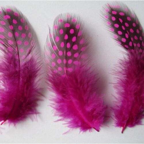Wholesale 20pcs / lot beautiful rose guinea fowl feathers 2-3 inches / 5-8 cm beautiful dot pattern pearl feather