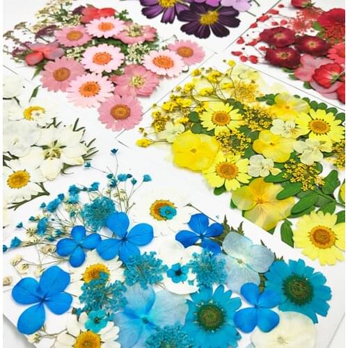 1Bag Dried Flowers Resin Mold Fillings UV Expoxy Flower For DIY Nail Art Scented Candle Necklace Craft Jewelry Making Accessorie