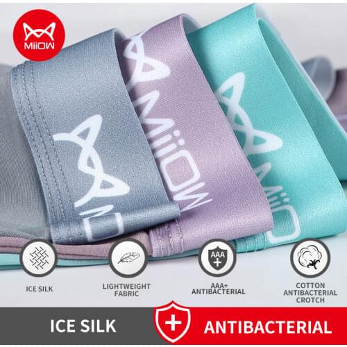 MiiOW Men's Transparent Briefs