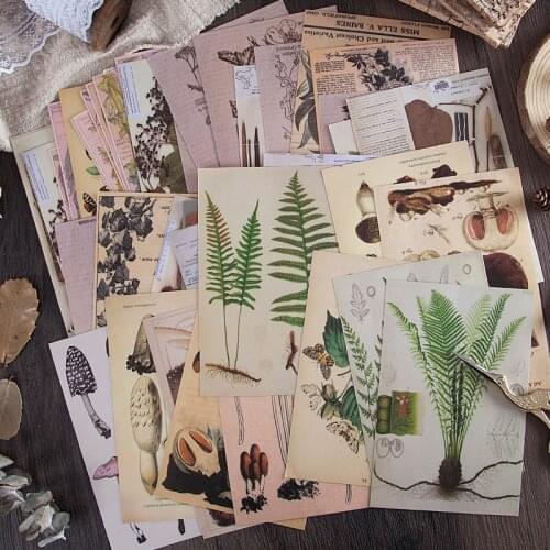 10pcs Plant specimens butterfly Material Paper Junk Journal Planner Scrapbooking Vintage Decorative DIY Craft Background Paper