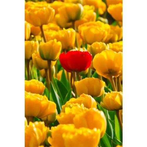 Full Square 5D DIY Diamond embroidery landscape Flower Rose Lotus Diamond Painting Cross Stitch Mosaic Unfinished Decor