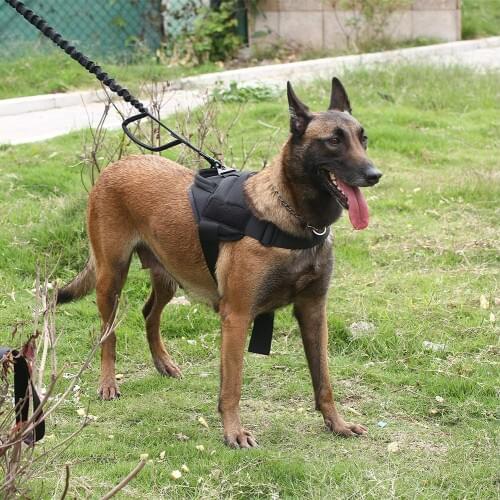 Military Tactical Dog Harness Patrol K9 Working Dog Collar Small Large Dog Harness Service Dog Vest With Handle Dog Harness