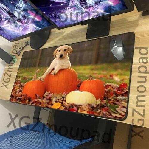 XGZ Animal Pet Dog Pumpkin Custom Large Mouse Pad Black Precision Lock Edge Office Computer Desk Mat Non-slip 900x400/900x300