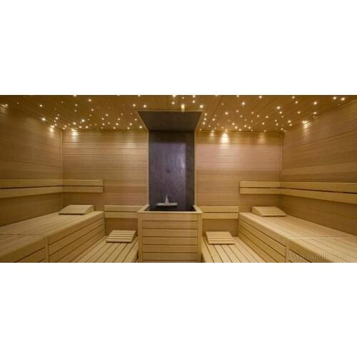 Maykit Steam Room Fiber Optic House With 105pcs 1.5mm 2m Black PVC Coating Plastic Fibre Cable 5W Cree LED Shimmer Illuminator