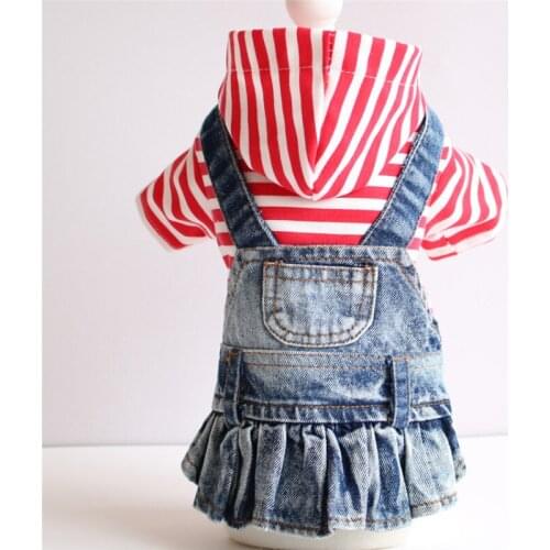 Dog Dress Autumn Spring Winter Dog Clothes Denim Jeans Pet Dresses Cat Puppy Costume Chihuahua Poodle Bichon Pug Clothing Skirt