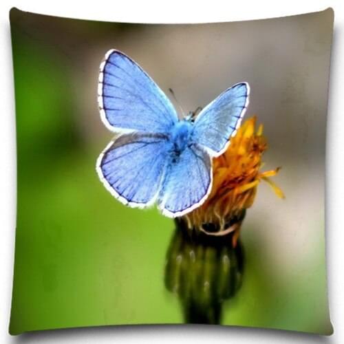 Animals Square Cushion cover Sky Blue Butterfly pattern Cotton polyester bedroom/chair/car/sofa seat