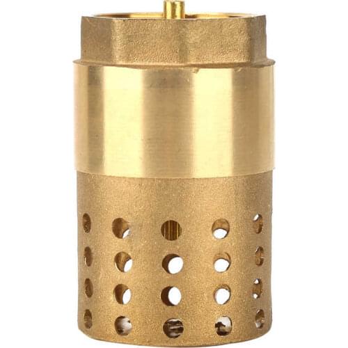 Brass One Way Female Thread Foot Valve Mesh Check Valve with Holes Strainer Filter DN25