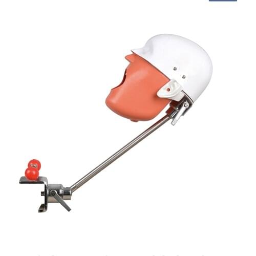 Dental Simulator Nissin Manikin Phantom Head Model with Bench Mount for Dentist Student Teaching Tool