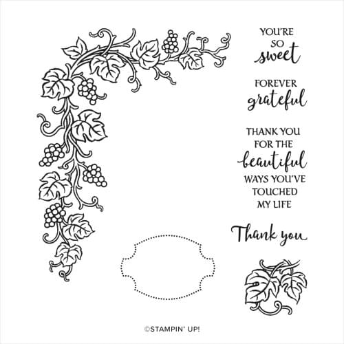 Grapevine Forever Stamps And Dies Metal Cutting Dies and Stamps DIY Scrapbooking Card Stencil Paper Cards Handmade Album Stamp