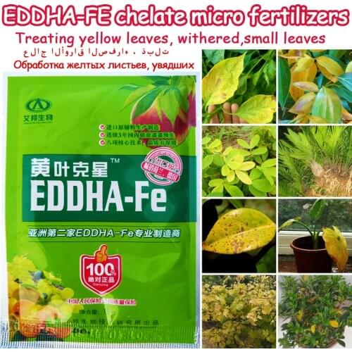 EDDHA-Fe Chelate Micro Fertilizer treating yellow leaves Withered Supplement Iron Nutrition Garden Bonsai Plant