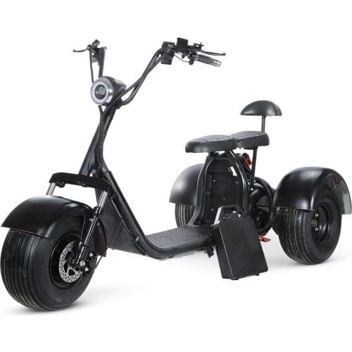 Three-Wheeled Electric Motorcycle Tricycle Wide Tire Lithium Battery Front and Rear Shock Absorption Lithium Battery Removable