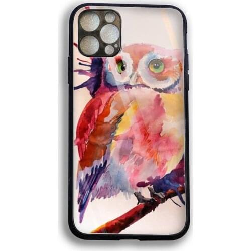 Watercolor owl Phone Case Tempered Glass For iPhone 12 Pro Max Mini 11 Pro XR XS MAX 8 X 7 6S 6 Plus SE 2020 case