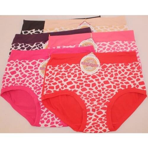 XXL Retail Womens plus size intimates ladys briefs underwear stone print bamboo fiber