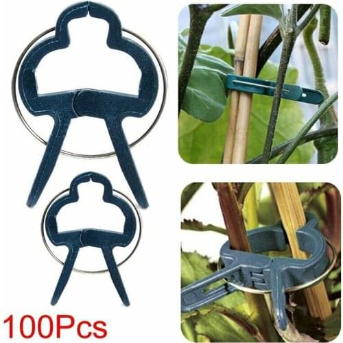 100pcs Garden Plastic Plant Clamps Clips Fastener Bracket Fixed Seed Support Plant Grafting Planting Aid Stem Ring Tools Kit