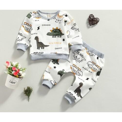 Little Boys Leisure Wear Spring Autumn, Toddlers Creative Cartoon Dinosaur Printing Round Collar Long Sleeve Tops + Long Pants