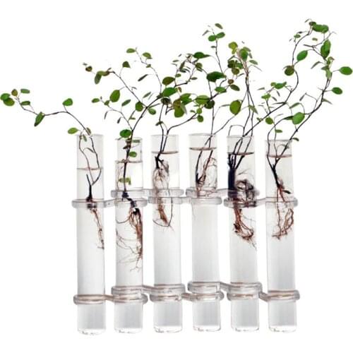 6 Glass Tubes Shape Hanging Hydroponic Flower Plant Vase Terrarium Container