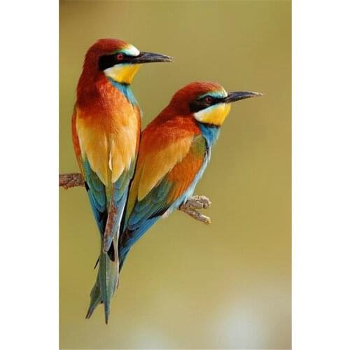 Hot sale diy diamond painting animals birds lover partridge cross stitch square rhinestone picture of crystals embroidery A7088R