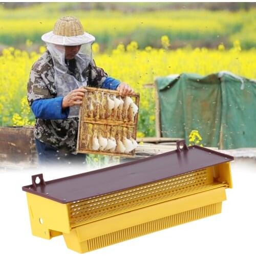 Beekeeping Plastic Pollen Trap Yellow with Removable Ventilated Pollen Tray