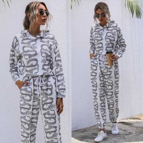 2020 autumn new printed hooded sweater Ladies Suit Women Hoodies Pant Clothing Set New Casual 2 Piece Sets Women Sportswear set