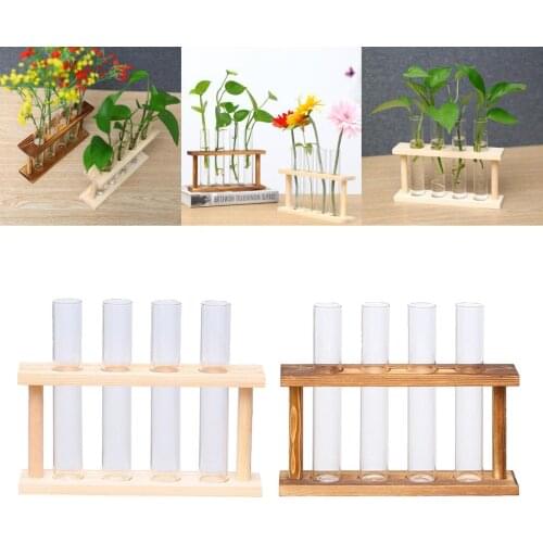 2pcs Crystal Glass Test Tube Plant Terrarium Vase Flower Pots for Hydroponic Plants Home Garden Decoration