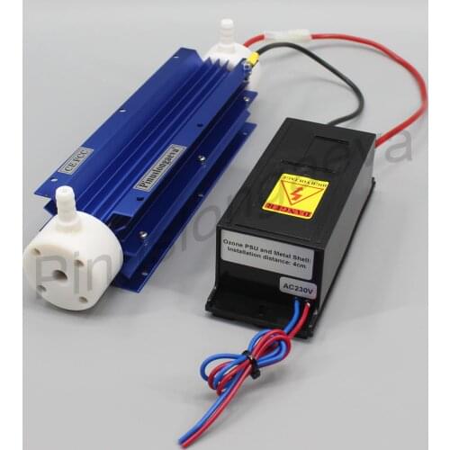Pinus longaeva 10G/H 10grams Quartz tube type ozone generator Kit ozonator for drinking water treatment o3 machine