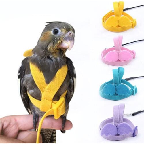 Elastic Rope Parrot Flying Aids Soft Bird Breathable Products Metal Buckle Pet Interactive Supplies Outdoor Pigeon Accessories