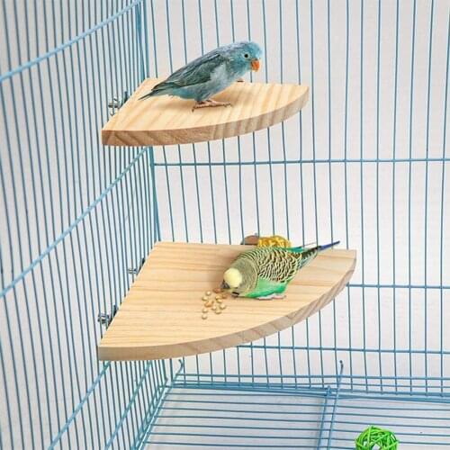 Parrot Platform Edge Wood Stable Fan-Shaped Springboard for Hamster Bird Perch Parrot Stand Platform Exercise Toy for Parrot