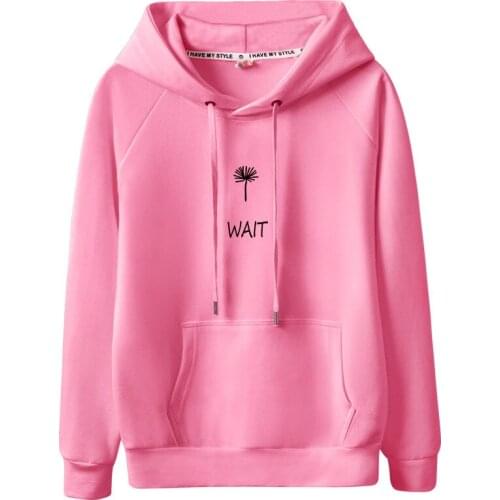 Fashionable winter casual high quality breathable womens Hoodie