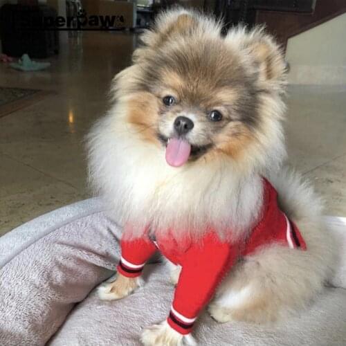 Fashion Dog Clothes Pet Puppy Sweater Hoodie French Bulldog Pug Teddy Jacket Coat for Dogs cat In Winter Keeping Warm WHC03