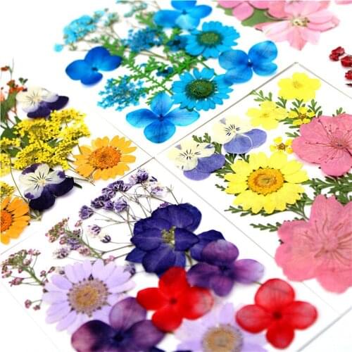 Natural Dried Pressed Flowers For Scrapbooking DIY Resin Jewelry Epoxy Phone Case Face Petal Makeup Candle Soap Making 12pcs/bag