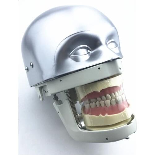 Dental Simulator Manikin Phantom Head demonstrations practical exercises Dental teaching model