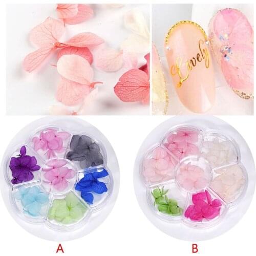 1 box 35pieces Natural small leaf Hydrangea Dried flowers, nail stickers Pressed flowers glass globe fillers nail accessory,HJJK