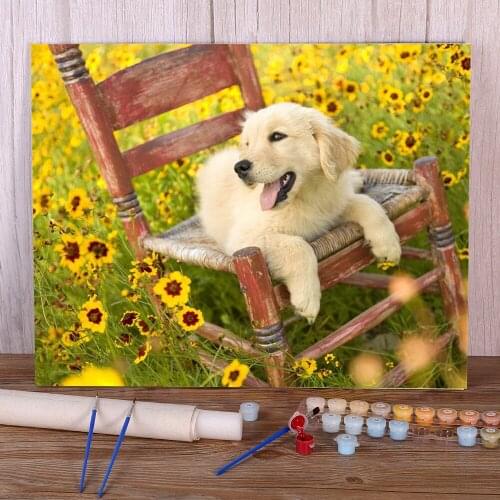 Animal Dog Pomeranian Painting By Numbers Set Oil Paints 50*70 Painting On Canvas Home Decor For Kids Wall Wholesale