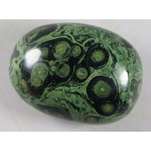 1PCS EYE GREEN KAMBABA JASPER STROMATOLITE FOSSIL Gem Stone Healing
