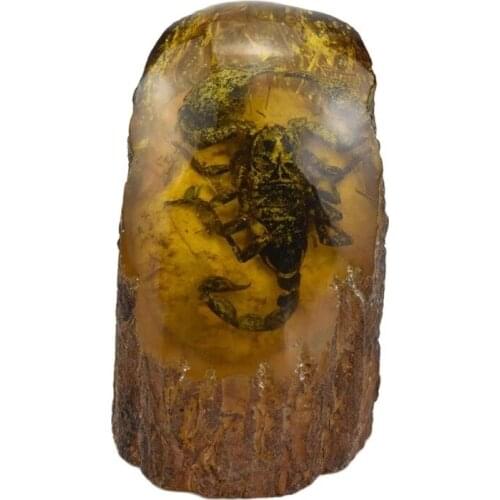 Chinese Collectible Rare Amber Inner Inlay Scorpion True Insect Specimens Animal Statue Small Gift