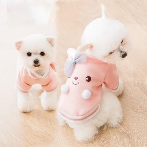 Puppy Clothes Spring Puppy Dog Sweater Autumn and Winter Cute Cartoon Rabbit Cat Two-legged Cat Cat Small Dog Pet Clothes