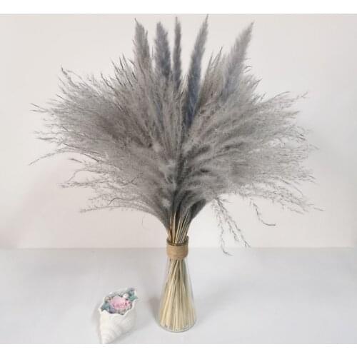 Dry Bulrush Reed Plant Small Pampas Grass Phragmites For Wedding Decoration Home Decor DIY Flower Window Flores Artificiales